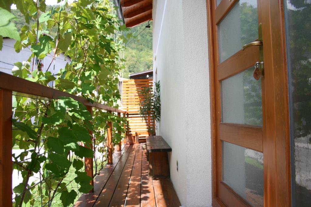 Apartment House Blazar 托尔明 客房 照片